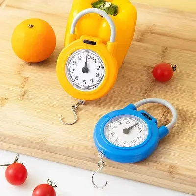Multi-function spring scale portable handheld with hook