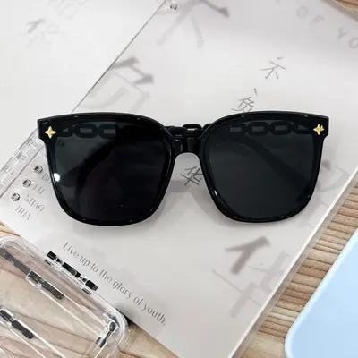 Retro Sunglasses, Korean Style, Stylish and Modern - 8
