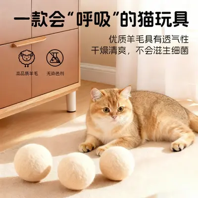 Silent Wool Ball Cat Toy for Kittens - 3
