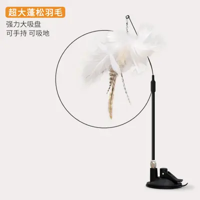Detachable Wire Cat Teaser Wand with Strong Suction Cup - 10