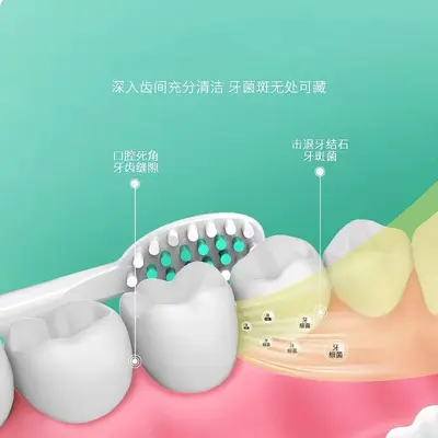 电动牙刷电池款声波式礼品跨境套装牙刷头软毛电动牙刷成人款批发