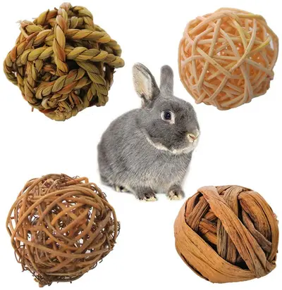 Dried Apple Branch Chew Sticks for Rabbits and Hamsters