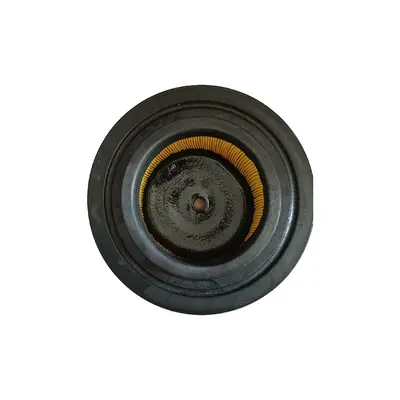 Luftfilter für Volvo 21646645 SA6092 3582358 - 4