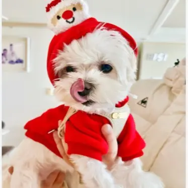 Haustier Hunde Katzen Pullover Herbst und Winter Neue Teddy French Bulldog Mittelgroße Hunde Weihnachten Katzenzubehör Kleidung