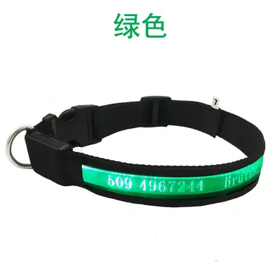 LED Light-Up Dog Collar, USB Rechargeable, Laser Engraved - 12