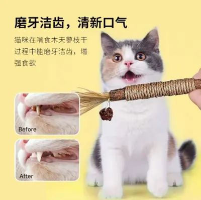 Ahşap kedi teaser çubuğu, nane toplu kedi oyuncağı - 5