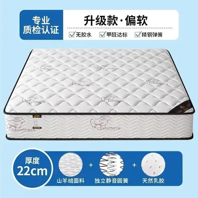 Economy Silent Spring Latex Mattress, 20 cm Thick, Coconut Palm Layer - 12