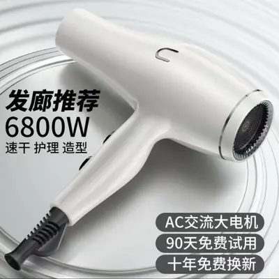 Professional Negative Ion Hair Dryer with High Airflow