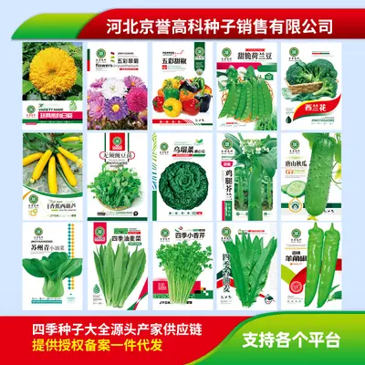 Four-Season Vegetable Seeds Set, Including Radish and Beans, 200+ Varieties - 3