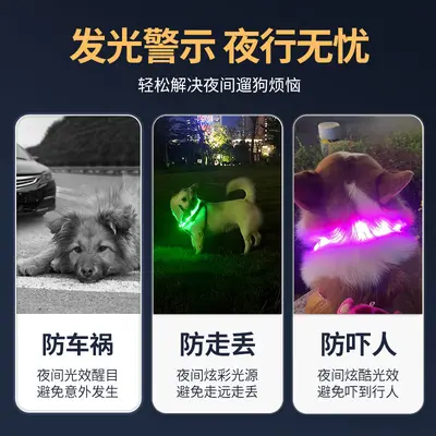 Aufladbares LED-Halsband für Hunde und Katzen