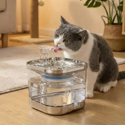 Smart Pet Water Fountain, Automatic Circulating, 2L Capacity for Cats and Dogs