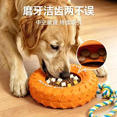 Rubber Tire Dog Toy, Durable Chew Toy with Interactive Ring - 4