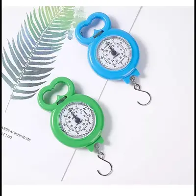 Portable household scale, spring scale, for travel and teaching