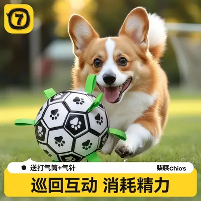 Bite-Resistant Dog Ball Toy for Border Collie, Labrador and Corgi - 1