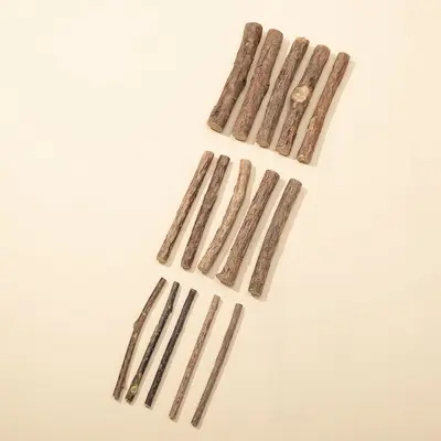 Silvervine-Katzen-Kaustange, Mundgeruch-Entferner, zuckerfrei - 3
