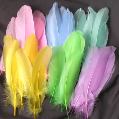 White Goose Feathers, Kindergarten Craft and DIY Jewelry Material