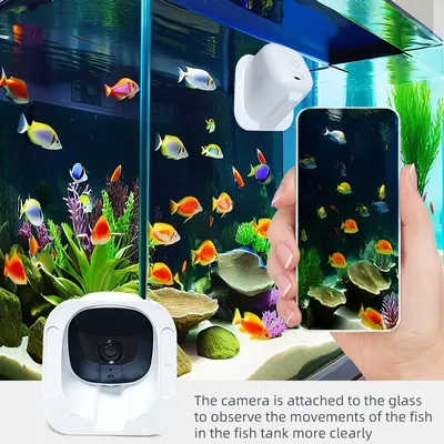 Fenster-Überwachungskamera WiFi Smartphone-Fernzugriff - 3