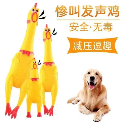 Robustes Quietschhuhn-Hundespielzeug aus Gummi, ungiftig - 1
