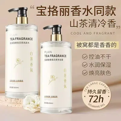 Camellia shampoo large capacity oil control anti-dandruff shower gel long-lasting fragranc