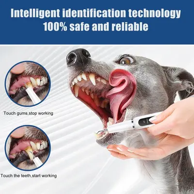 Köpek diş taşı sökücü ultrasonik diş temizleyici, evcil hayvan
