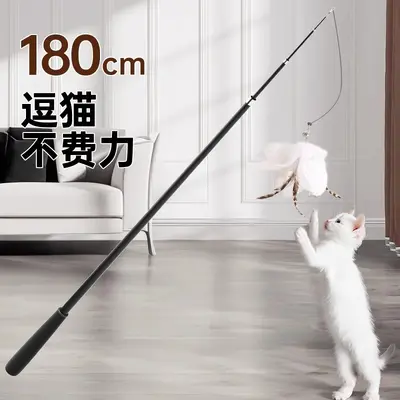Long Retractable Feather Cat Teaser Wand