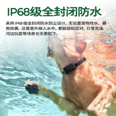 4G Beidou GPS takip cihazı M10 köpek ve kedi evcil hayvan tasması izleme cihazı kayıp önleyici IP68 su geçirmez - 4