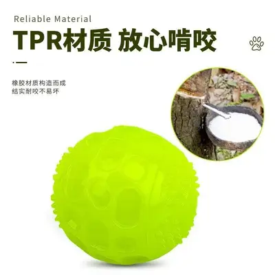 Glow-in-the-dark squeaky dog ball, elastic TPR