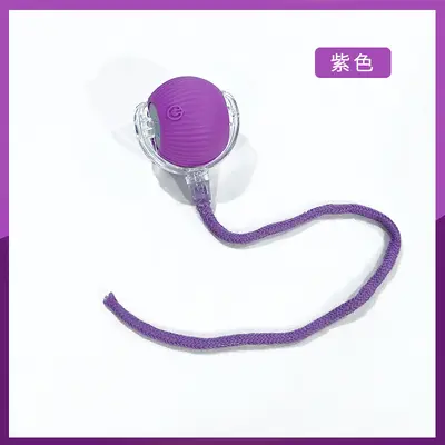 Automatic Electric Cat Teaser Ball with Rope, Smart Cat Toy - 13