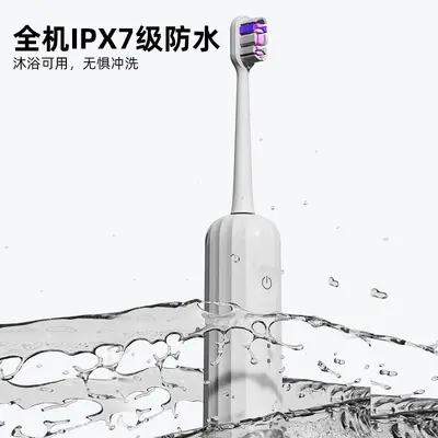 跨境爆款成人软毛电动牙刷扫振便携充电式厂家批发防水情侣牙刷