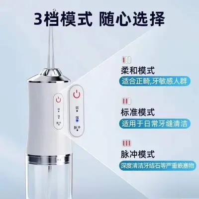 Elektrischer Wasserflosser für den Haushalt, tragbar - 3