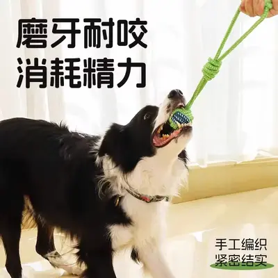 宠物狗狗互动玩具磨牙棒耐咬泰迪比熊幼犬绳结玩具小型犬宠物玩具