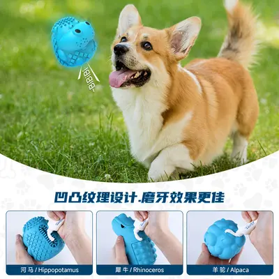 跨境新品狗狗磨牙玩具橡胶发声动物系列小狗啃咬宠物玩具外贸批发