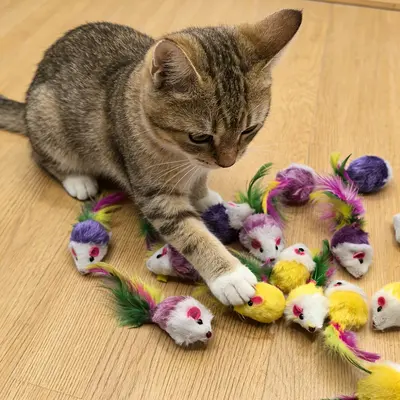 Colorful Feather Plush Mouse Cat Toy with Plastic Body - 1