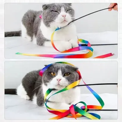 Çift taraflı gökkuşağı kurdeleli kedi oltası - 5
