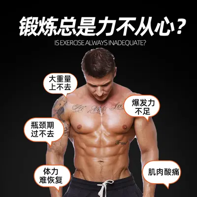 跨境高纯度肌酸粉跨境300g健身搭档一水肌酸乳清蛋白粉氨基酸外贸