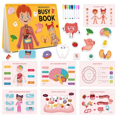 Kinder-Beschäftigungsbuch Busy Book, Vorschule und Körperbau