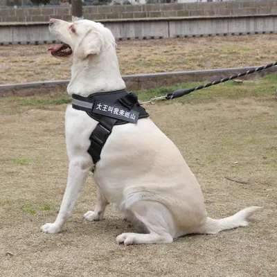 K9 Vest-Style Dog Harness and Leash for Medium and Large Dogs