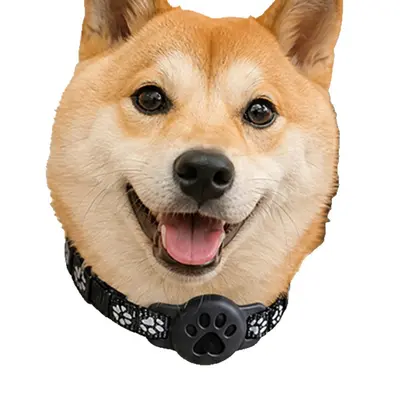 Sınır Ötesi Evcil Hayvan Konumlandırıcı Kayıp Önleyici Kedi Köpek Takip Konumlandırıcı İz Sürme Cihazı Yakalık Takip Yakalığı