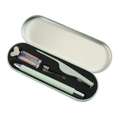 LED Stainless Steel Ear Pick Set with Metal Box, Tweezers, Baby Ear Cleaning Tool - 10