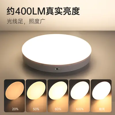 Rechargeable Smart Radar Motion Sensor LED Ceiling Light with Wireless Remote Control