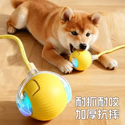 Smart Cat Teaser with Vibrating Ball, Interactive Cat Toy - 3
