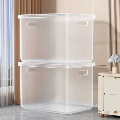 Transparent Storage Box with Lid, Rectangular Organizer for Toys and Clothes