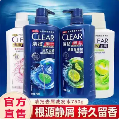 Qingyang Shampoo 750ml, Anti-Dandruff and Oil Control - 1