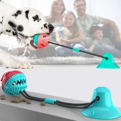 Vantuzlu top köpek oyuncağı, ısırmaya dayanıklı