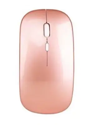Werksproduktion, 2.4G kabelloses Bluetooth-Maus für Mobiltelefone und Computer Dual-Modus 5.2 stille Maus - 10