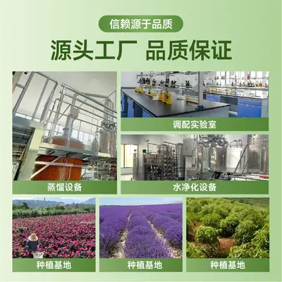 Grapeseed Oil, Cold-Pressed, High Purity, for Skincare and Soap Making - 5