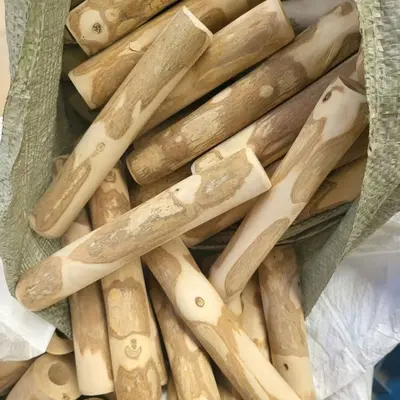 Natural Coffee Wood Dog Chew Stick, Durable, Boredom-Relief Toy for Puppies and Dogs