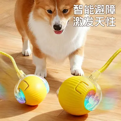 Smart Cat Teaser with Vibrating Ball, Interactive Cat Toy - 4