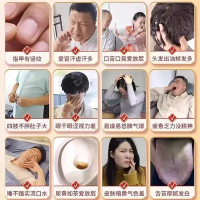 南京同仁堂乐家老铺葛根灵芝片成人熬夜加班应酬喝酒伤肝压片糖果