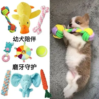狗狗发声玩具耐泰迪狗比熊幼犬小型犬咬宠物磨牙棒毛绒玩具中其它